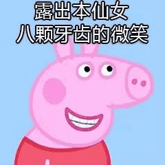 小懒猪表情包开怀大笑