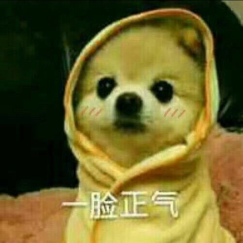 火影斗图表情包完整版狗头