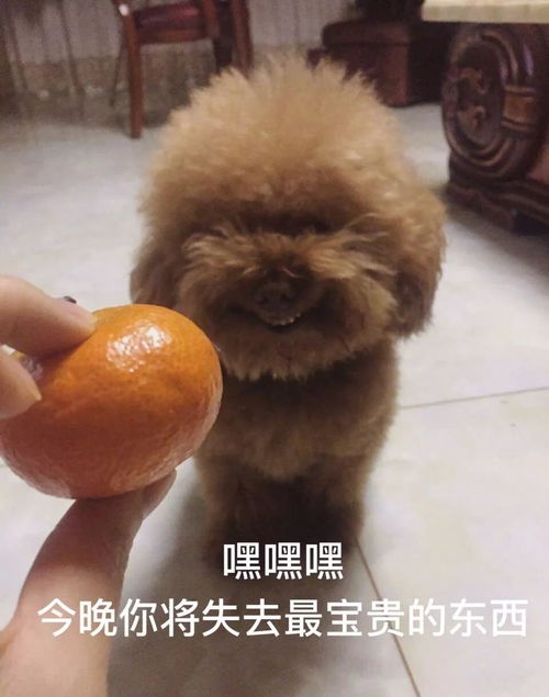 民警苦劝轻生孕妇哪里就没好男人了我感觉我就蛮好的