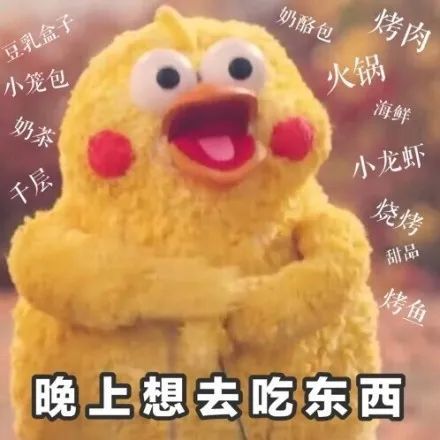 鹦鹉兄弟表情包鸽子王和她的朋友们的日常