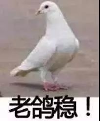 都是朋友,鸽你几次怎么了