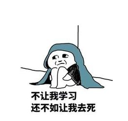 大部分人都不完全了解的注册会计师考试内容