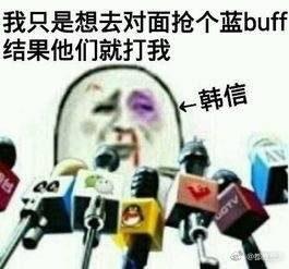 揭棺而起全套表情包摸鱼