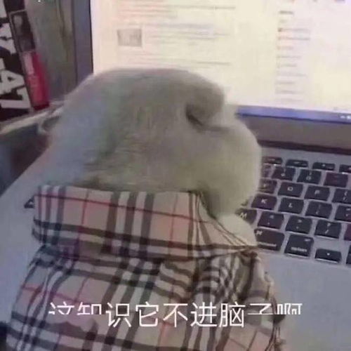 原来老师凶你的时候心里都是这样想的哈哈哈太好笑了