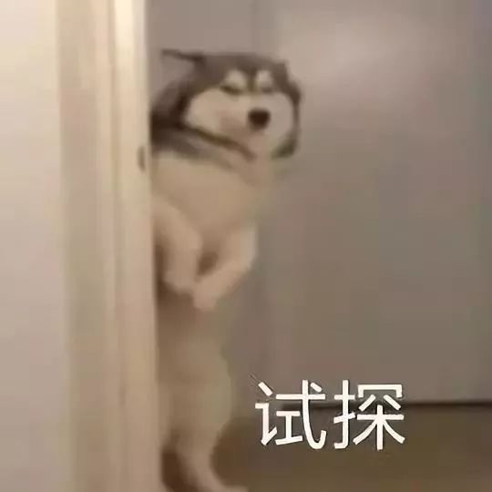 没有表情包,还聊什么天100张表情包,拿去