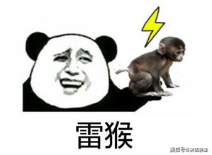 笑话段子小狐狸许愿希望能变成人,报答救过我的那个男孩妹子