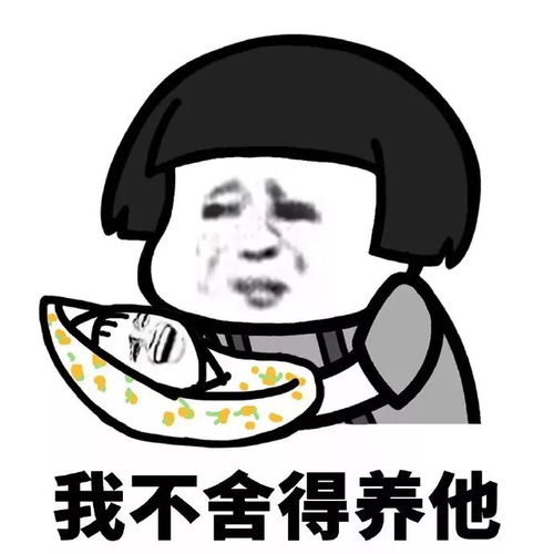 热门套路表情包我是小仙女就要被宠着