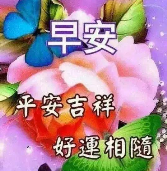 最新吉祥早安温馨祝福语大全,早安问候语表情图片带字
