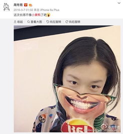 这些明星撞脸动物周冬雨长得像藏狐适合演妲己她不是小黄鸭吗