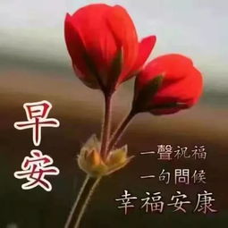情侣早安超甜表情包早上好