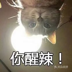 电话地址价格营业时间大悦城射箭馆团购天津运动健身