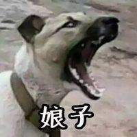 适合40岁男人的清新风景头像微信头像图片大全