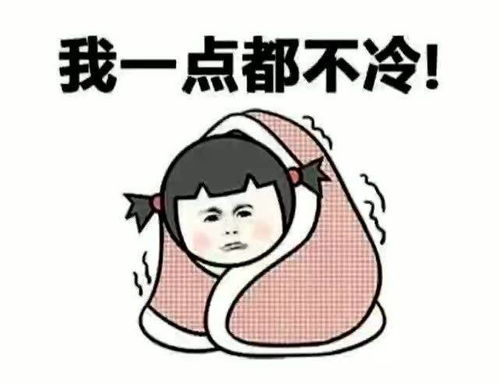 送大家一些冬天表情包
