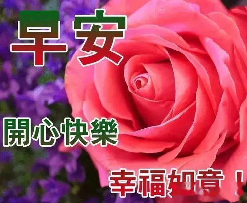 微信早上好温馨问候语表情包图片精选,非常精美的早晨好阳光祝福表情图片