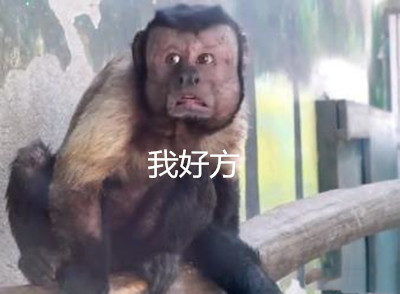 这只长着国字脸的猴子红了,丑成表情包,还能通过人脸识别