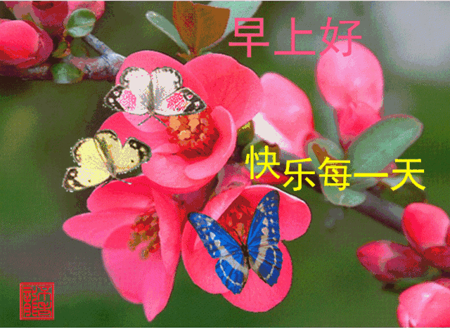 早上好朋友,特漂亮的早上好祝福语图片带字,早上问候语表情图片唯美