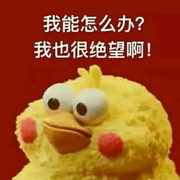 无锡奇葩那又怎样就喜欢你看不惯我又干不掉我的样子