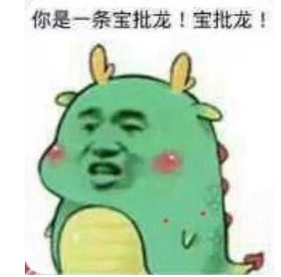 我当宝批龙你当猪儿虫什么梗