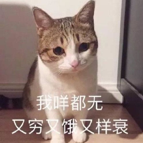 笑话段子哎呦我去,什么时候我两之间的交流变的这么有含义了