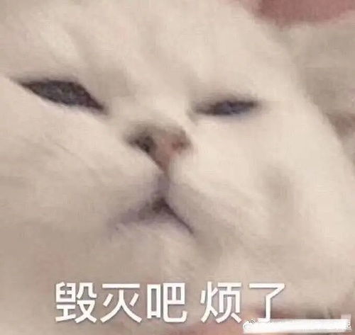 tm的烦死了表情包聊天表情
