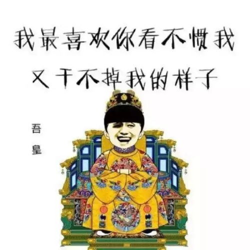 表情包聊天没用,你得会斗图