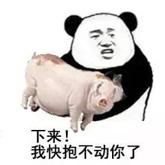 海量表情包仓库持续更新中