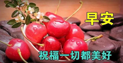 8张非常有创意最美微信早上好动画表情图片,免打字聊天的冬日清晨早安问候祝福动态图片表情