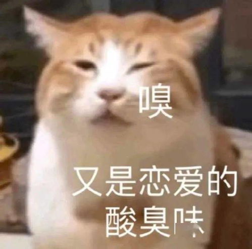小可爱表情包大家