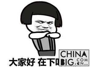 比尔康更火的叶良辰语录表情包大全来了