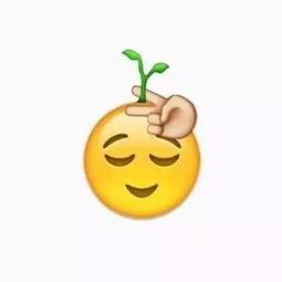 现在用你的脸就可以生成emoji表情包啦