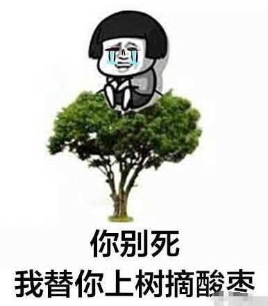那年花开吴聘领盒饭了还好我们有王子大人疗伤