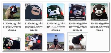 什么样的女生没谈过恋爱表情包什么样的女生一看就没有谈过恋爱qq表情完整版软件下载