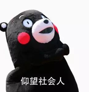 臭流氓表情包斗图趣味动物