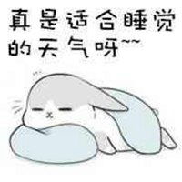 抱着睡觉的表情包微信头像图片大全