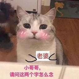 520情话攻略丨糟了,是心动的感觉