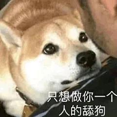表情包心情失落舔狗