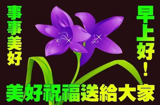 1月29日冬季最新早上好日常祝福语大全,早晨好日常问候语录新版