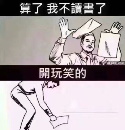 考试周