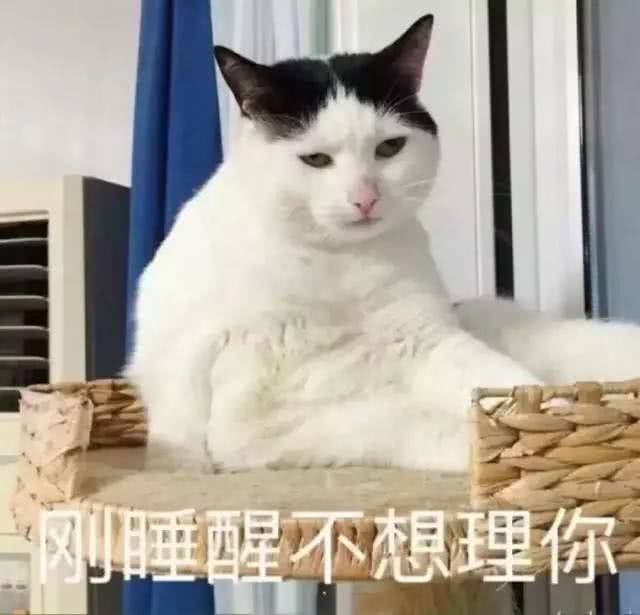 刚睡醒表情包睡醒