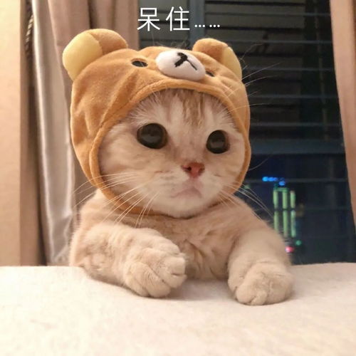 因为身体乳我改了我的一个习惯