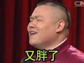 岳云鹏表情包微信图片春晚