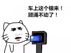 天这么ye,给嫩一组青岛银专属表情包清凉一下喜使了