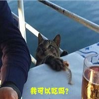 叔叔这个我能拿走吗表情包好玩吗叔叔这个我能拿走吗表情包怎么玩用户评论