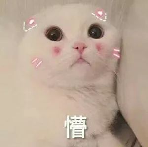 这是一段来自亚龙国际商铺的内心独白
