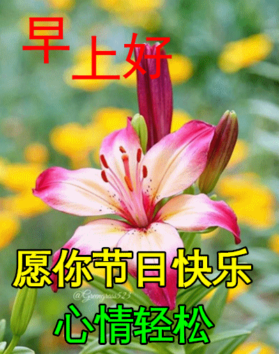 3月8日女神节早上好祝福语图片大全,问候动态表情图片大全