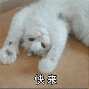 沙雕斗图必备表情包