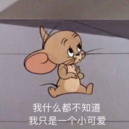 有哪些可爱的沙雕句子