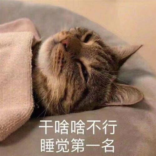 你醒了表情包原图睡不醒