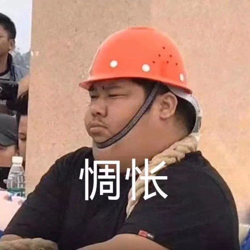 举手选我表情包表情包