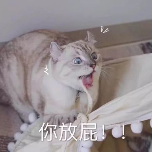 久未露面的她,一出现就是靠蛇精脸广告捞钱白富美人设彻底崩了